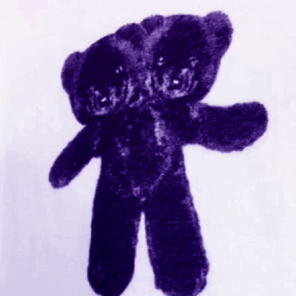 Meet your Posher, Daisy - Picture 1 of 1